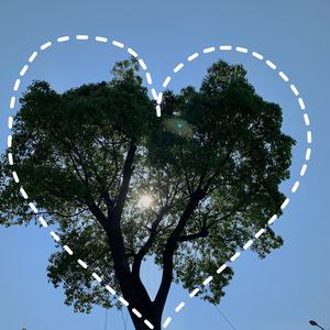 公车上双乳被两男人夹击小说
